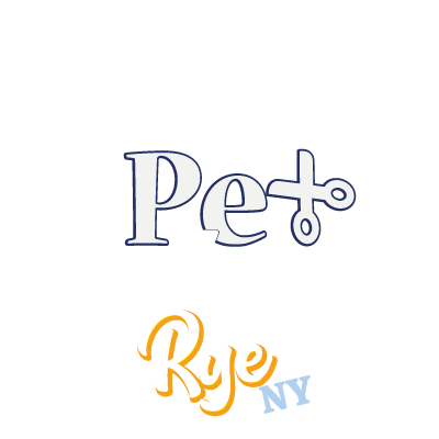 Jauja Pet by Yanet